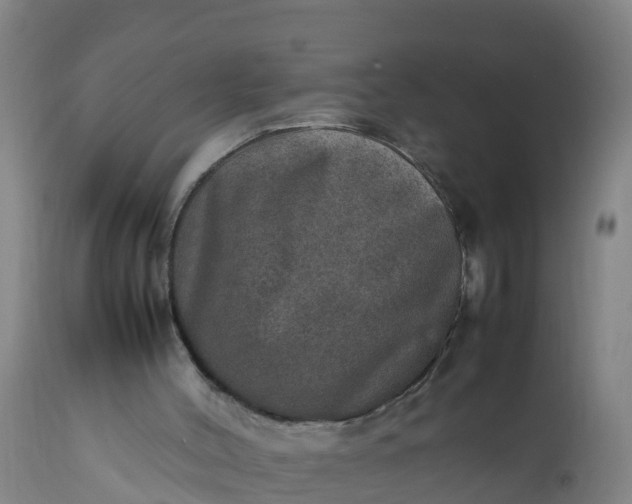 X0000112010004200908171454