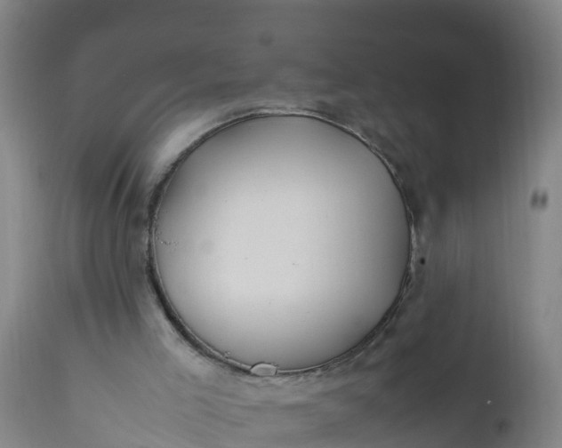 X0000112010005200908171454