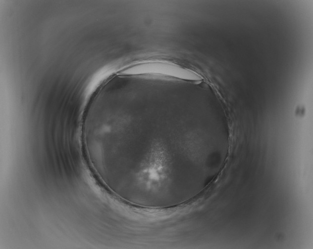 X0000112010006200908171454