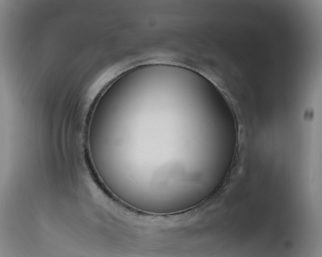 X0000112010007200908171454