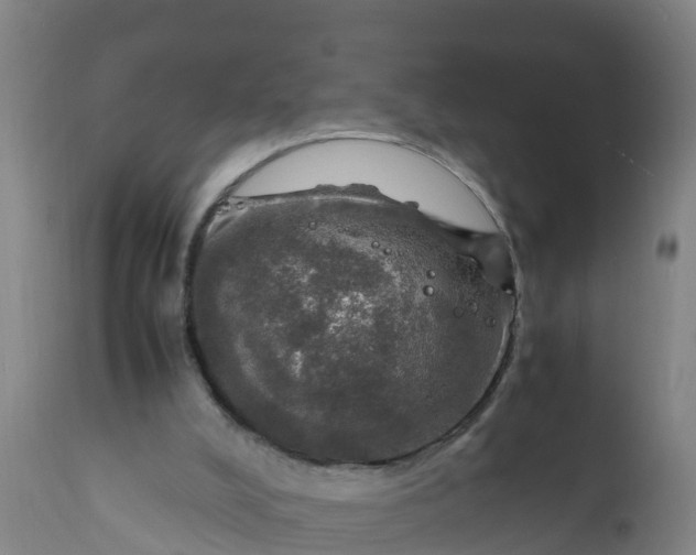 X0000112010008200908171454