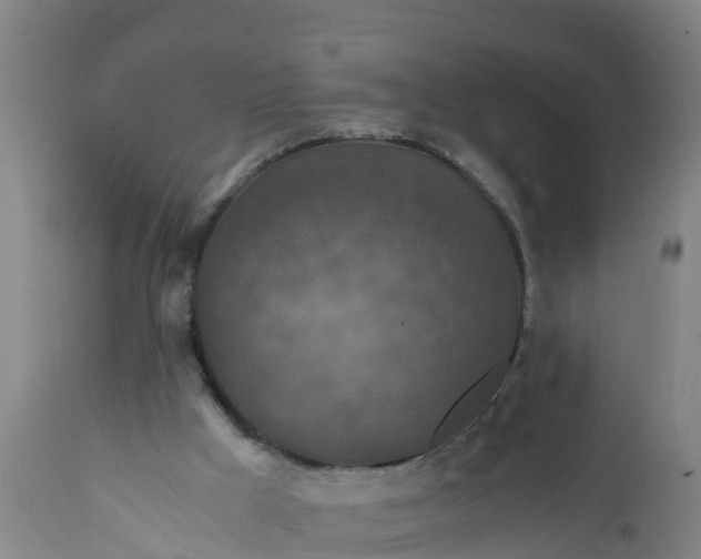 X0000112010009200908171454