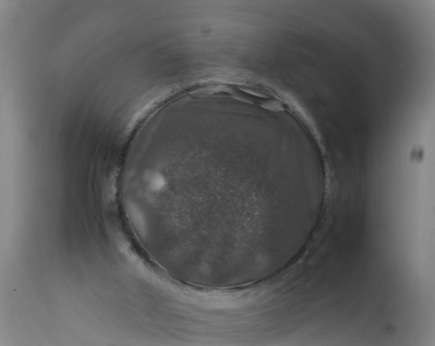 X0000112010010200908171454