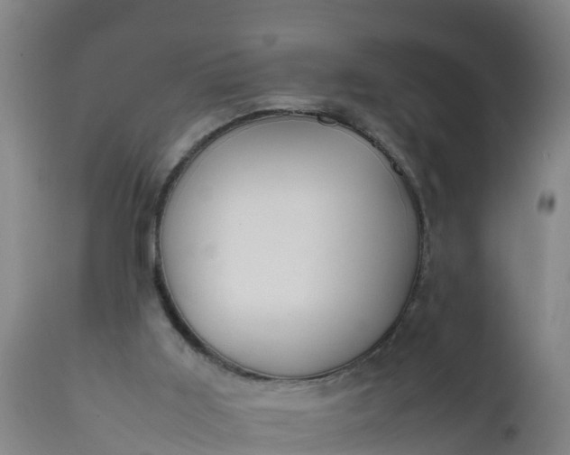 X0000112010011200908171454