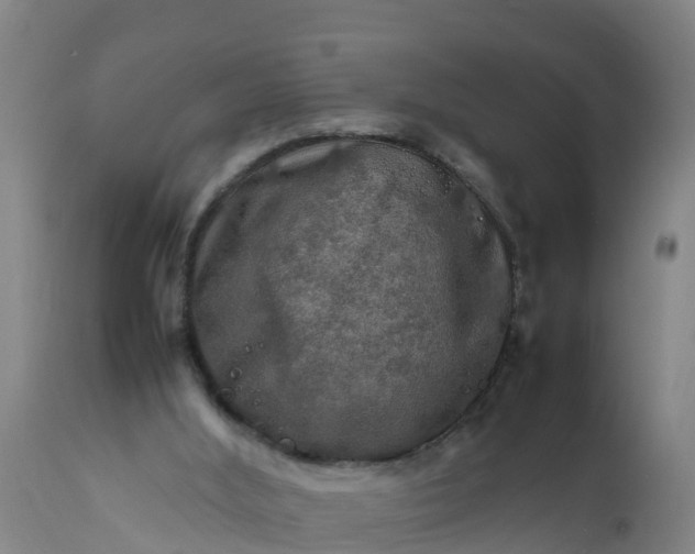 X0000112010012200908171454