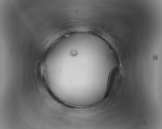 X0000112010013200908171454