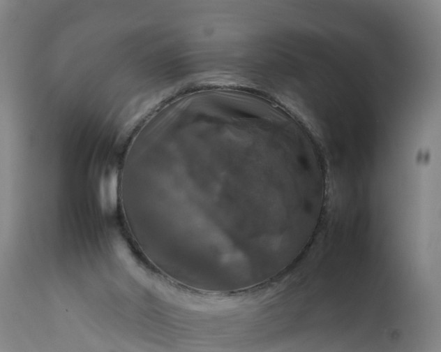 X0000112010014200908171454