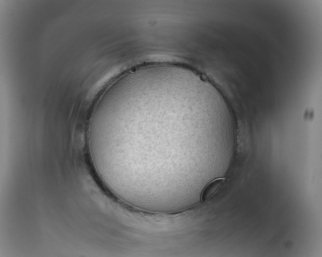 X0000112010015200908171454