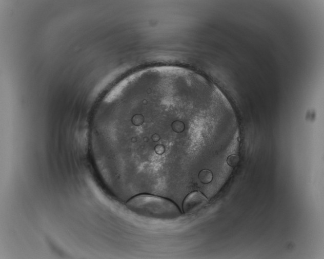 X0000112010016200908171454