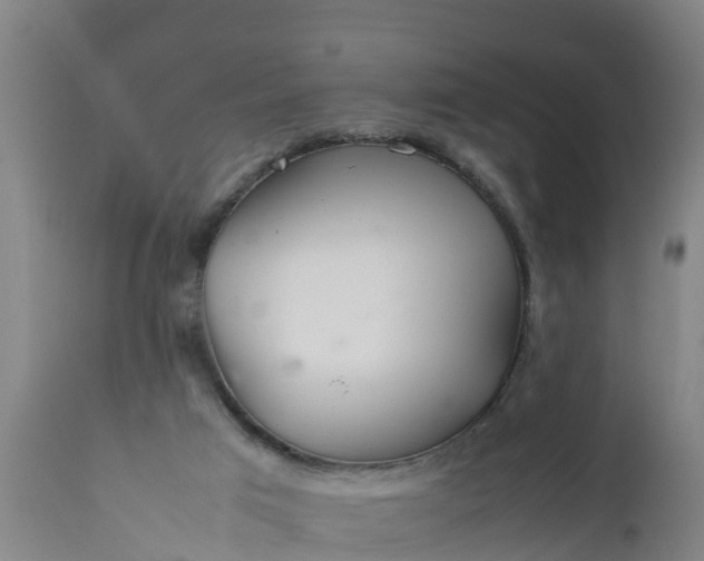 X0000112010017200908171454