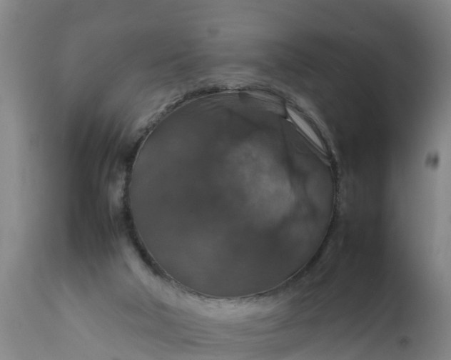 X0000112010018200908171454