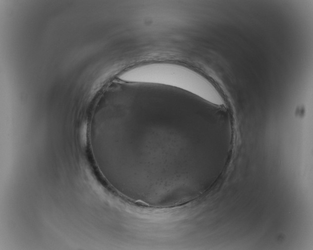 X0000112010019200908171454