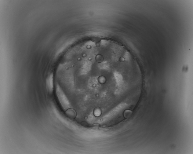 X0000112010020200908171454