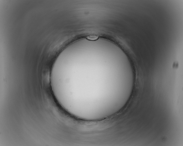 X0000112010021200908171454