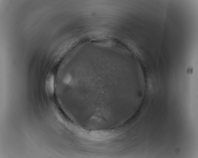 X0000112010022200908171454