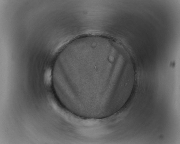 X0000112010024200908171453