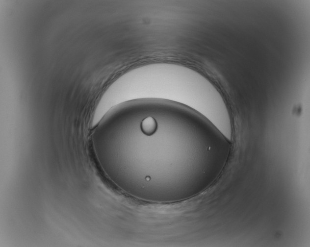 X0000112010025200908171453