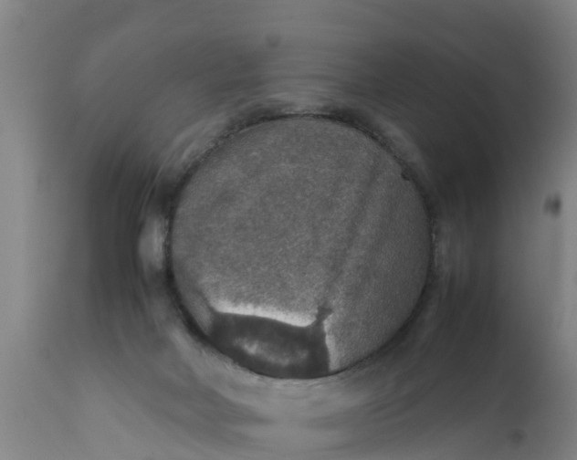 X0000112010026200908171453