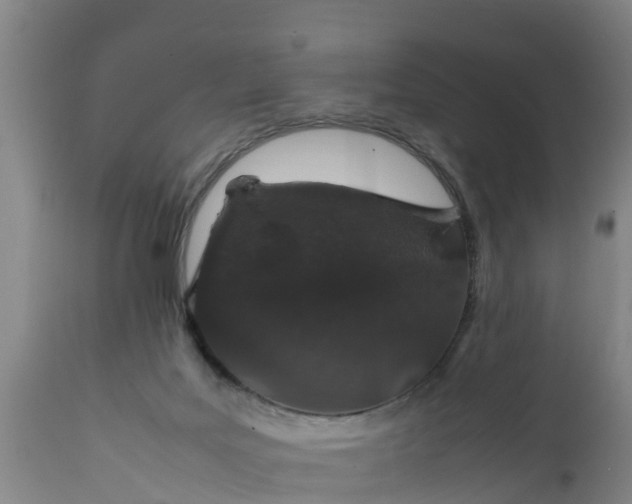 X0000112010027200908171453