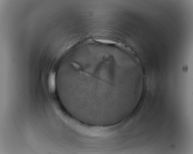 X0000112010028200908171453