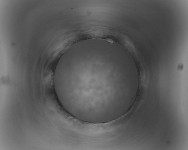 X0000112010029200908171453