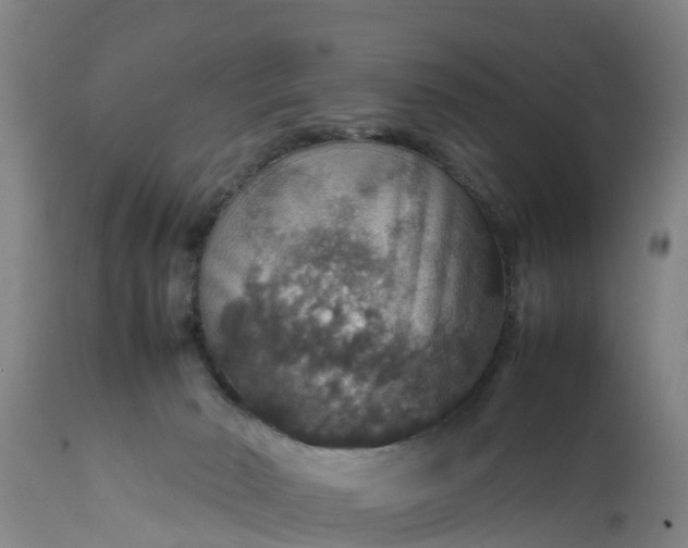 X0000112010030200908171453