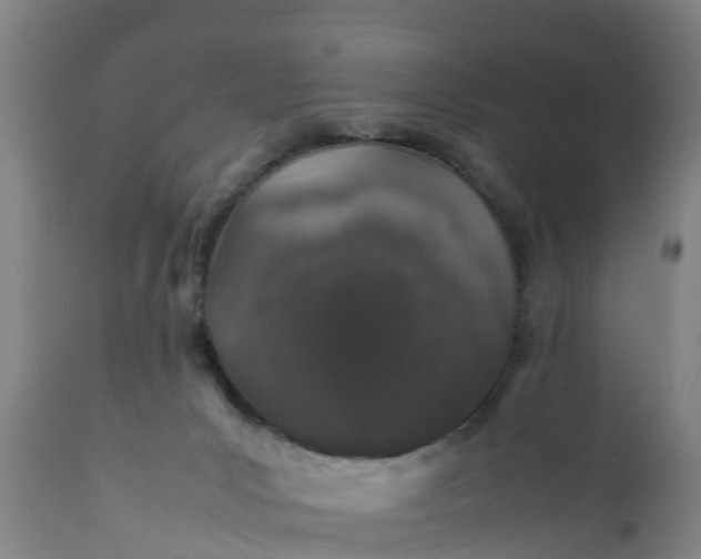 X0000112010031200908171453