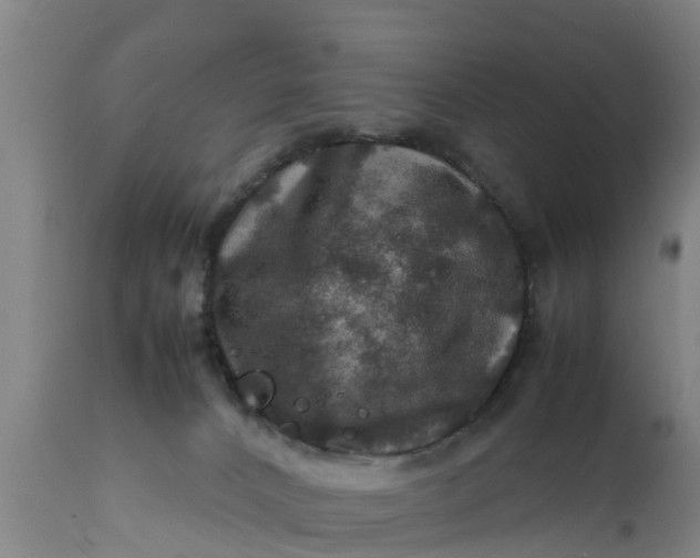 X0000112010032200908171453