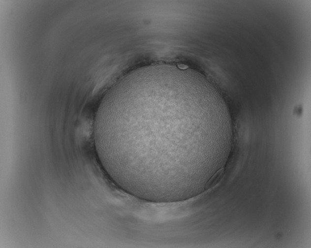 X0000112010033200908171453