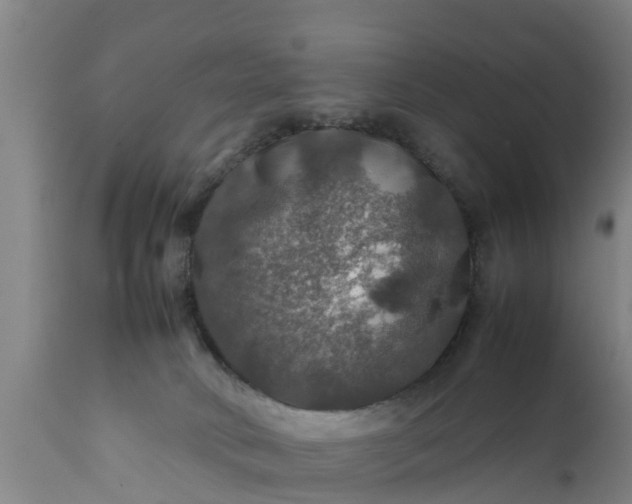 X0000112010034200908171453