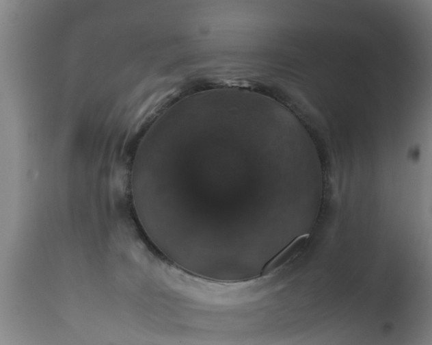 X0000112010035200908171453