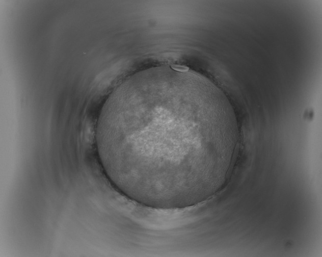 X0000112010037200908171453