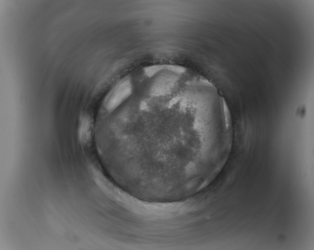 X0000112010038200908171453