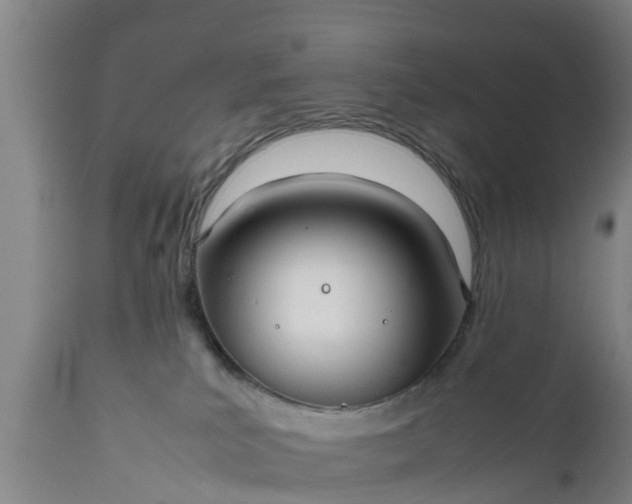 X0000112010039200908171453