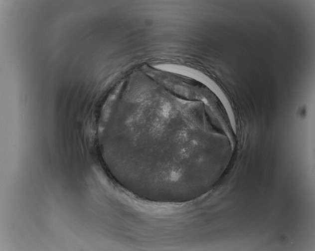 X0000112010040200908171453