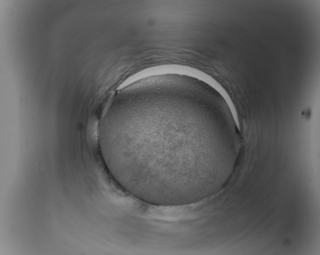 X0000112010041200908171453