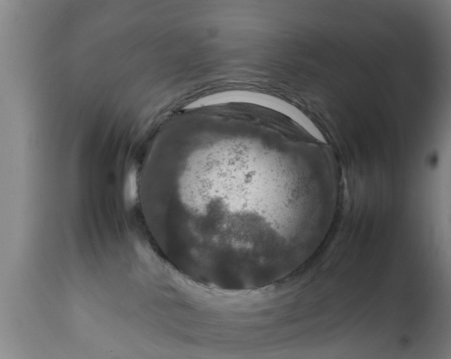 X0000112010042200908171453