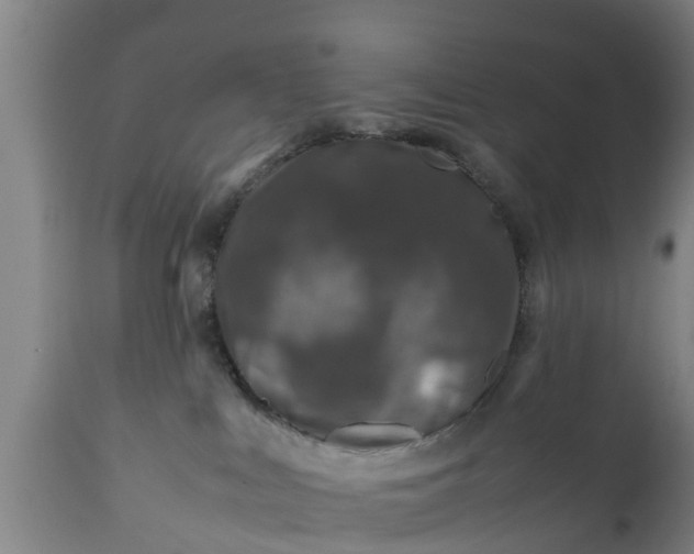 X0000112010043200908171453