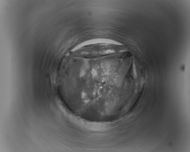 X0000112010044200908171453