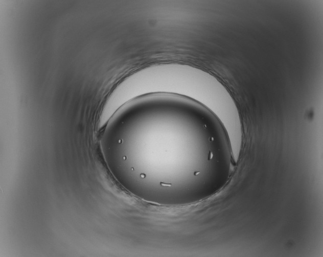 X0000112010045200908171453