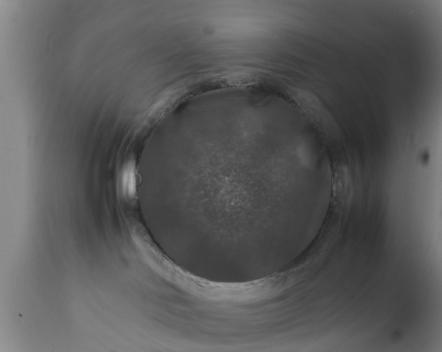 X0000112010046200908171453