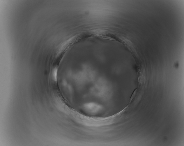 X0000112010047200908171453