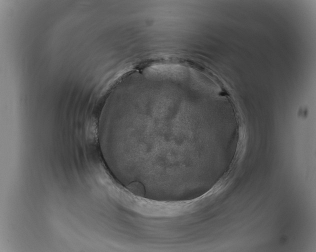 X0000112010048200908171453