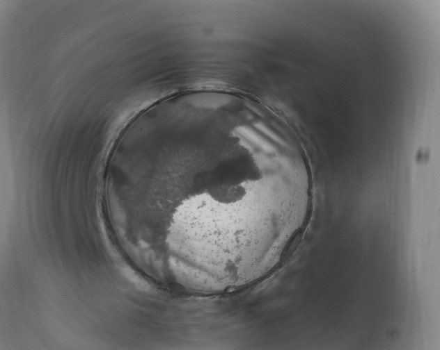 X0000112010049200908171452