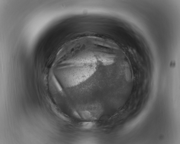 X0000112010050200908171453