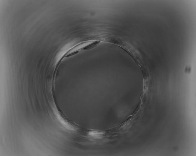 X0000112010051200908171453