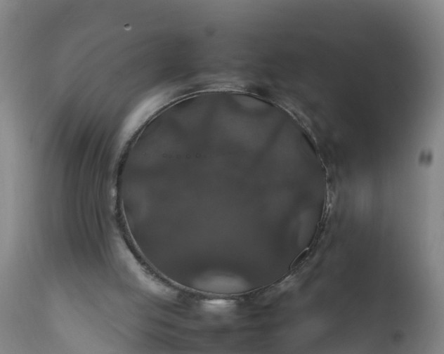 X0000112010053200908171453