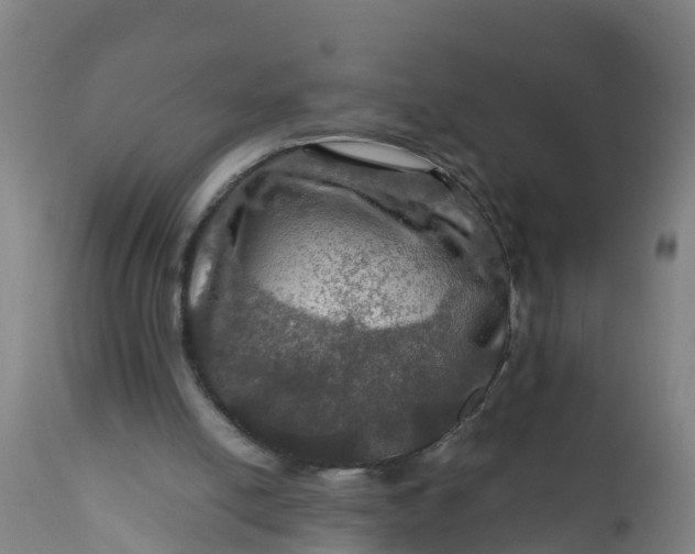 X0000112010054200908171453