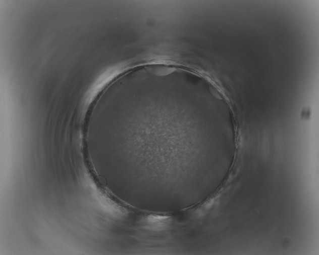 X0000112010055200908171453