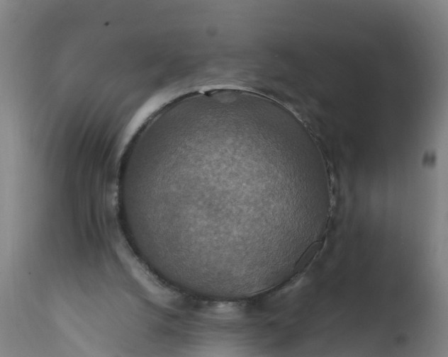 X0000112010056200908171453